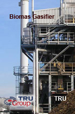 Biomas Wood Chip Gasifier TRU Group USA Canada